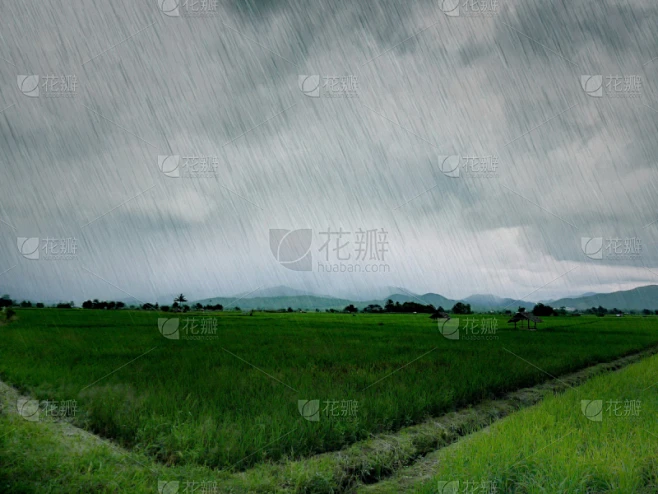 雨,米,农场,田地,天空,水平画幅,无人,草,稻田,山素材-花瓣网