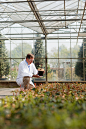 Man inspecting plants in nursery by Image Source on 500px