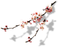 梅花-1