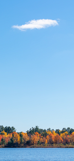 Y潇然采集到天空背景