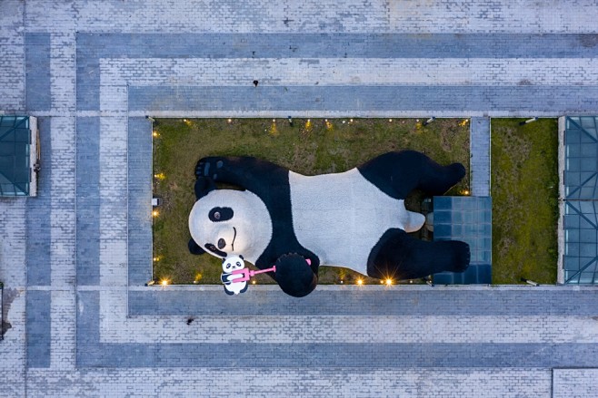 自拍熊猫，都江堰 / UAP + Flo...