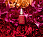 Estée Lauder Chinese New Year Campaign : Campaign for Estée Lauder's ANR celebrating the Chinese New Year