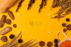 秋季布局的干叶，南瓜，球果和干花在黄色的背景与地方的文字。平躺，俯视图。感恩节的概念。