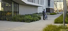 商业景观