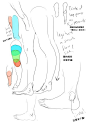 【初学者向】绘制腿部的一些细节要点，建议都相当中肯呢。（via：bunnyshadeow）