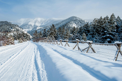 南方丶以南采集到雪景