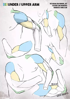 趴着走道贼稳采集到身体画法