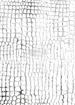 发狂的,多层效果,纹理,动物皮,平视角,纺织品,蛇,壁纸,复古,喷溅