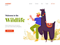 Landing page - WildLife Zoo