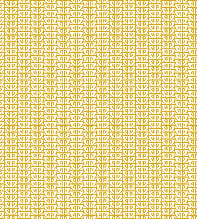多米 (14)