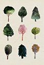 watercolor tree illustrations.