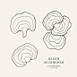 Conjunto de cogumelos reishi art line