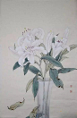工笔百合花，清新脱俗！