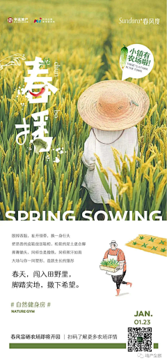 执笔画梅采集到板式