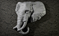 Cacharreando con Zbrush...Nacho Riesco Zworks - Page 14
