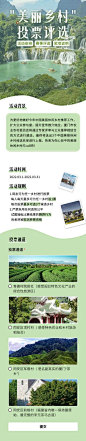 美丽乡村党政项目评比H5