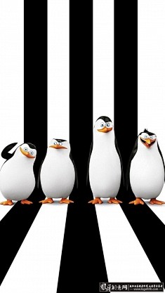 马达加斯加的企鹅电影海报 国外创意黑白色...