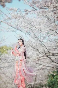 剑侠情缘网络版叁 七秀 cosplay | 半次元-第一中文COS绘画小说社区
