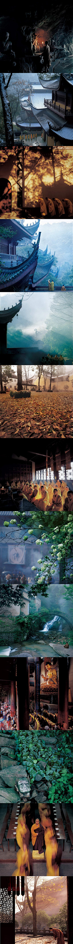 婳-2023采集到双手握无限
