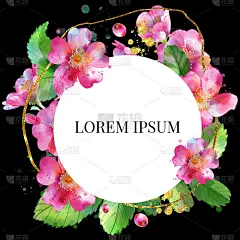 圆形框架蔷薇果花