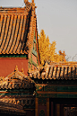 发现-热门微博-推荐