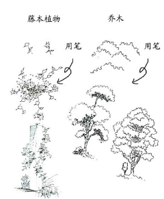 最湛蓝的天空采集到手绘基础练习