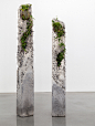 Jamie North - Terraforms 2014 : Solo show at Sarah Cottier Gallery, comprised of multiple forms with cement, marble waste, limestone, steel slag and coal ash as sculptural materials, and inhabited by a complex mix of plant species native to the east coast