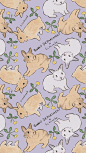 超可爱的兔兔wallpaper​​​