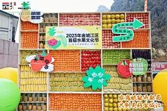 2023年金城江区首届水果文化节暨元宵节供销大集系列活动