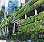 新加坡垂直绿化的搜索结果_百度图片搜索