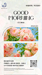 早安，每日一签