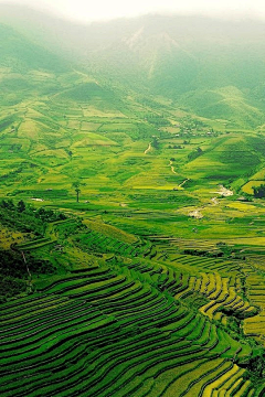 AU-WEI采集到自然风景