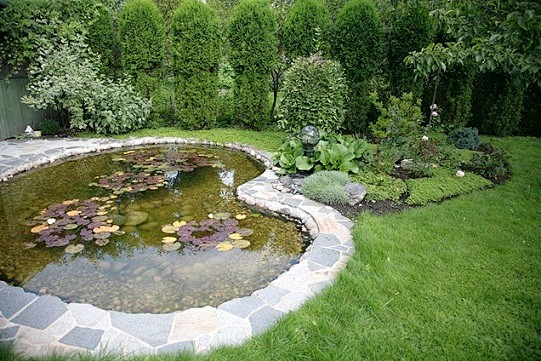 别墅庭院景观小水池