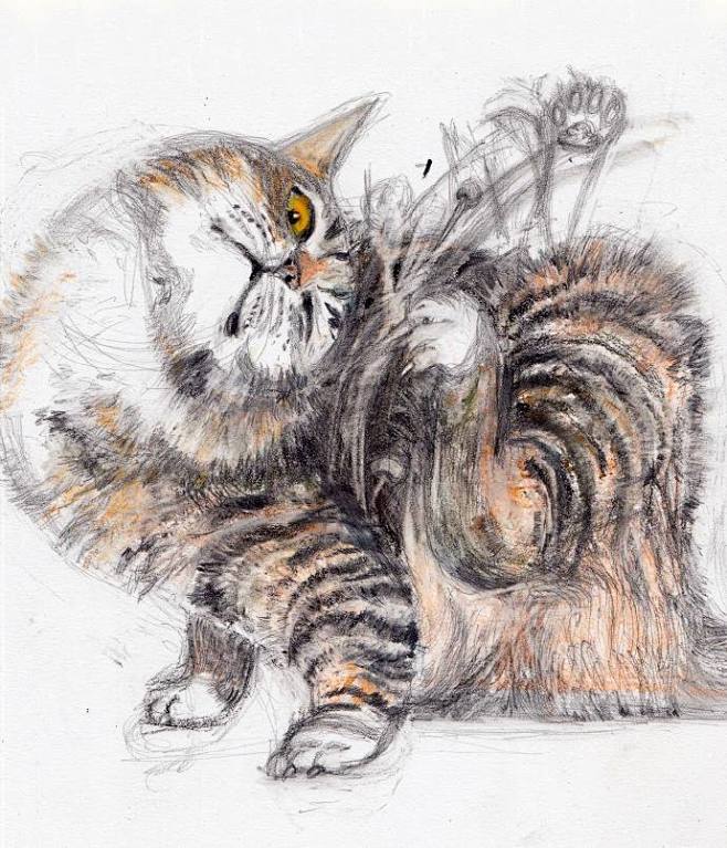 Cats by Léo Forest ...