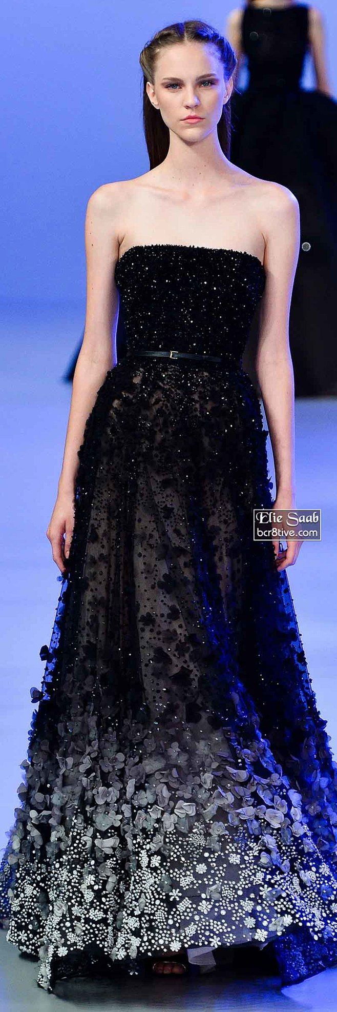 Elie Saab Spring 201...