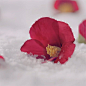 Photo by 마몽드 I Mamonde Official on February 17, 2014.