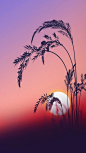 Sunrise+Wallpapers+Galaxy+S7+Edge.jpg (900×1600)