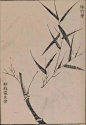【写竹】
#这就是中国风# #遇见艺术# ​​​​