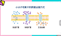 【十分钟生物学】4.3 物质跨膜运输的方式_哔哩哔哩_bilibili