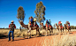 高达348米的乌鲁鲁岩，广袤无边的红色沙漠，作为澳大利亚内陆腹地标志的乌鲁鲁魅力远不止这些。无论是澳洲一望无垠的红土腹地，还是乌鲁鲁卡塔丘塔国家公园奇特地貌，这里众多富含沙漠风情的风景为骆驼骑行者提供了绝妙的风景。而渴求浪漫的旅行者，不妨选择清晨或黄昏，骑着骆驼去看日出、日落，在泛红的天际之下，感受戈壁沙漠异样的风情。
