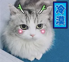大图-希丞家的黑糖喵 表情包 冷漠