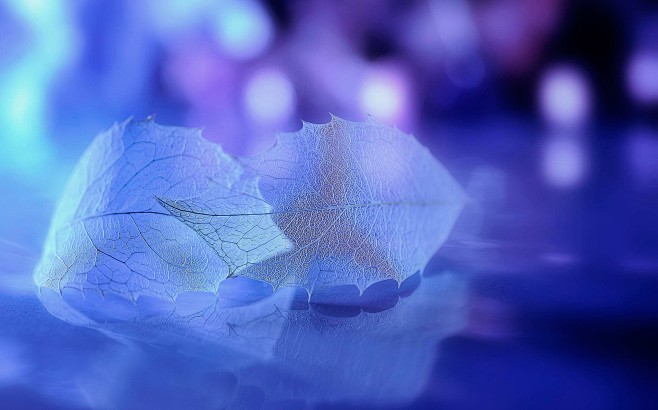 Banner设计欣赏网站 – 横幅广告促...