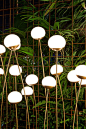 10TH PRATO FIORITO LIGHT - Outdoor floor lights from Exteta | Architonic