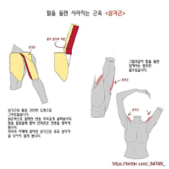 林有余采集到画法典