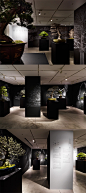 企画展「BONSAI」在松屋银座Design Gallery1953举行。展览把日本盆栽艺术代表人物森前诚二先生的作品分为7大类，展出品种从树龄超过150年的松柏到白梅，展现了盆栽艺术世界丰富多样的一面。原设计研究所负责了此次展览的宣传品制作和会场构成部分。
会期： 2011年12月27日（周二）～2012年1月23日（周一）※闭幕
会场：松屋银座7F Design Gallery 1953
http://designcommittee.jp/2011/12/6801953.html
PH: Nacasa