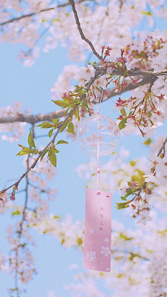 『沉眠』采集到sakura