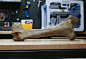 3D Scanning Mammoth Bone