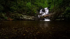 森林高清摄影素材