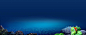 海底世界背景,海洋,水草,蓝色,海报banner,大气图库,png图片,网,图片素材,背景素材,2507594@北坤人素材