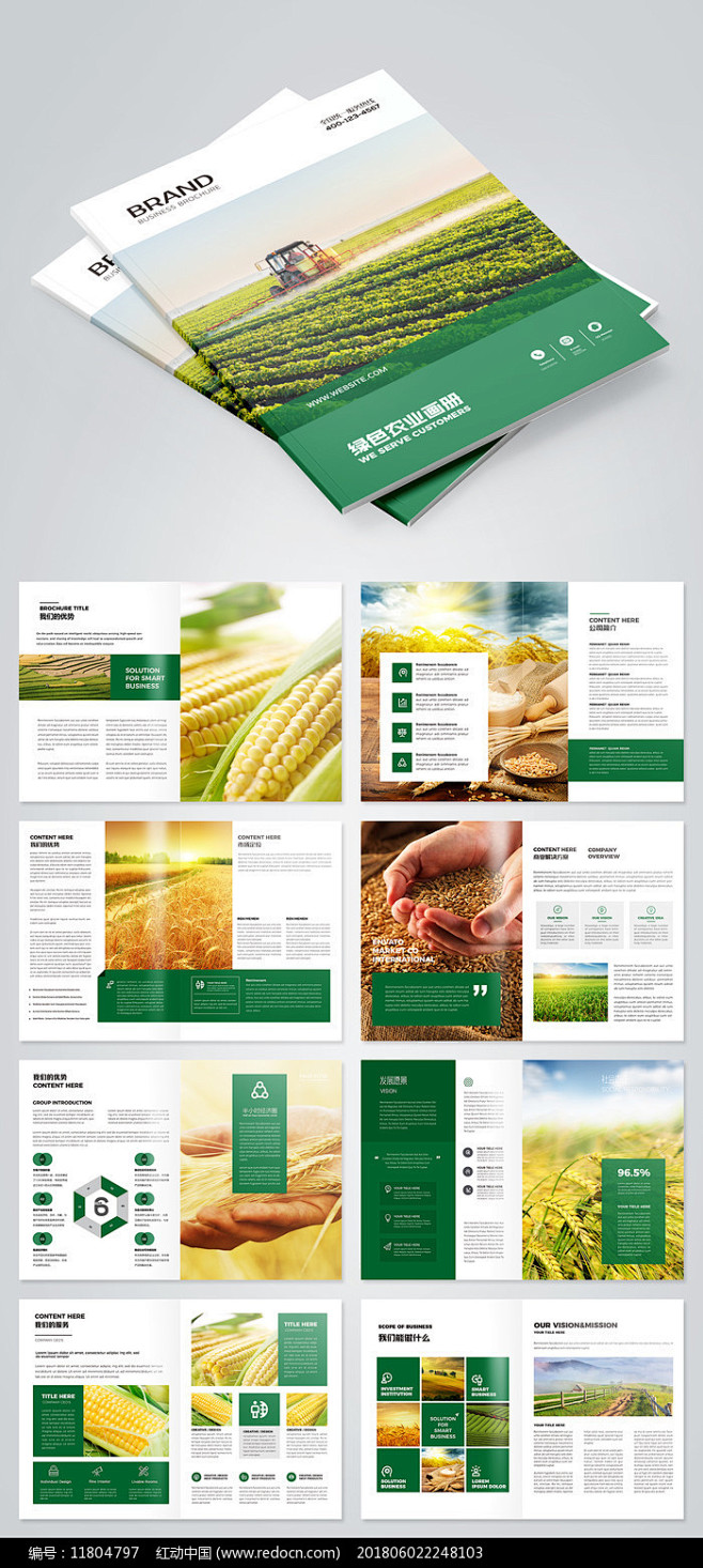 绿色农产品画册农业宣传册图片